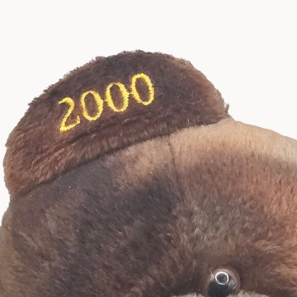 VTG 2000s TY Babies Authentic Mint Bear Collectible Golden Sacagawea Dollar Bear - Picture 14 of 16